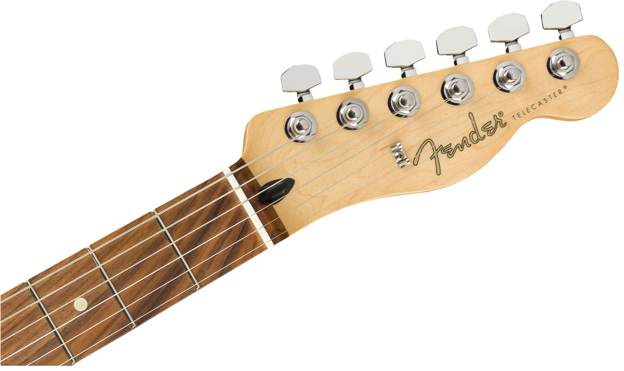 Fender Player Telecaster Sähkökitara (Polar White)