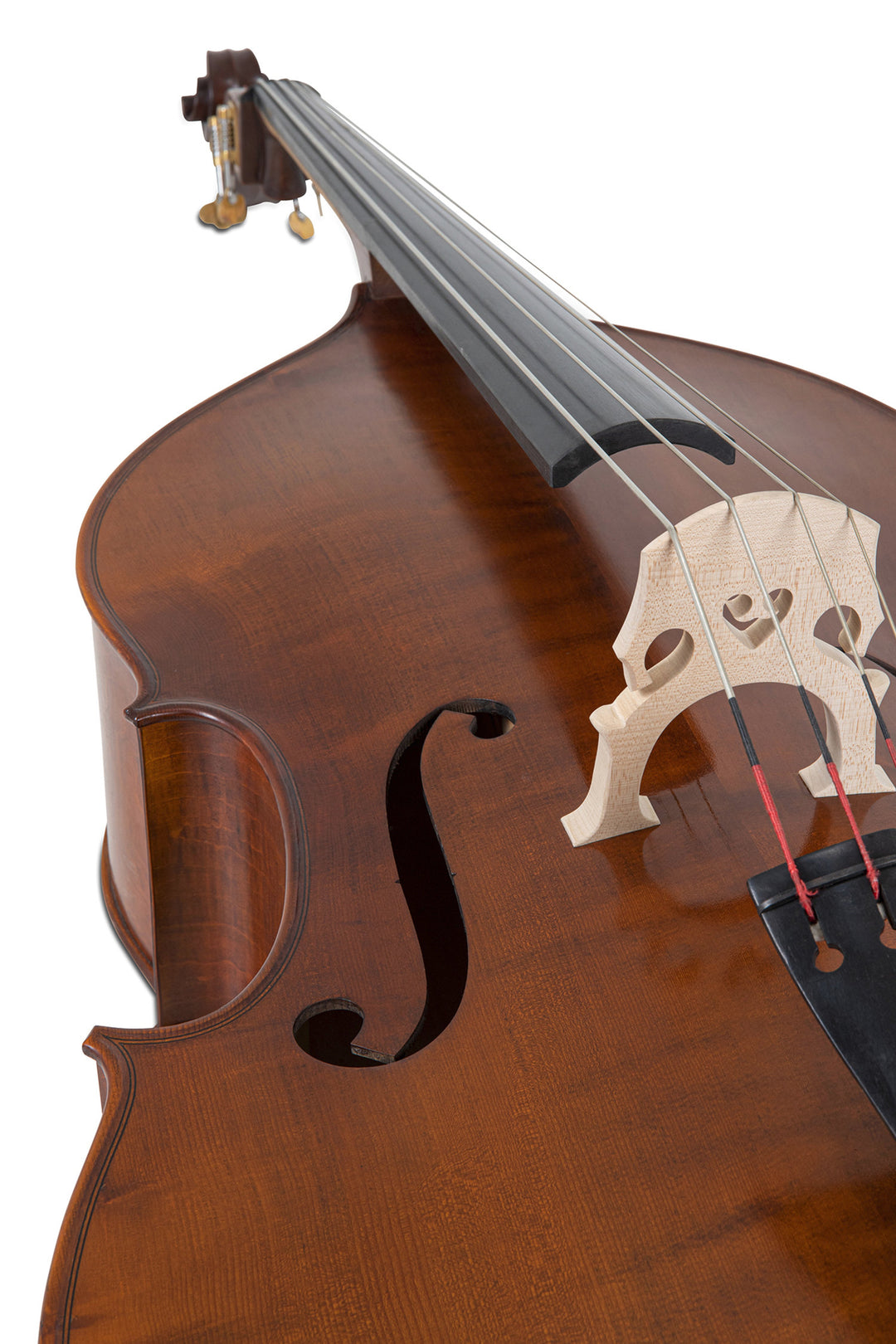GEWA-kontrabasso Premium Line Semi-solid Model - 4/4 (Set up in the GEWA master workshops)