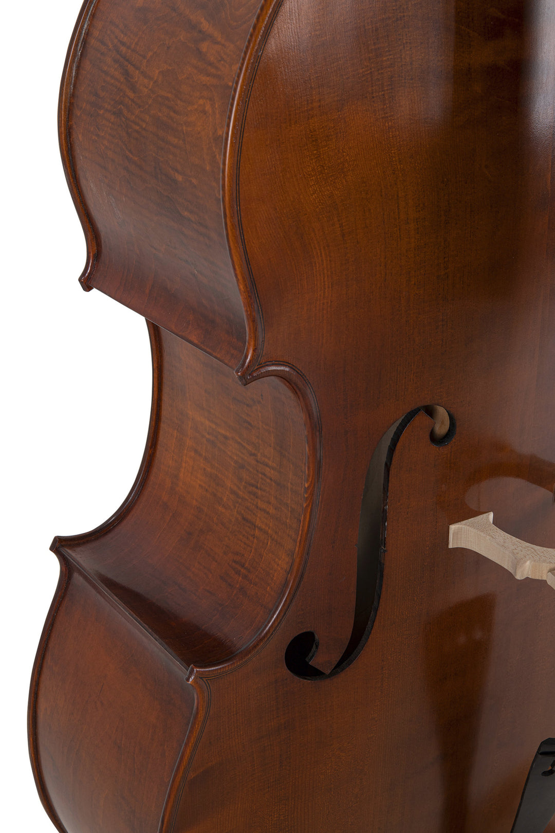 GEWA Kontrabasso Premium Line Semi-solid Model - 3/4 (Set up in the GEWA master workshops)