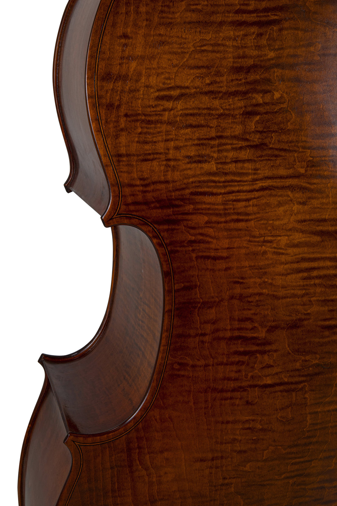 GEWA Kontrabasso Premium Line Semi-solid Model - 3/4 (Set up in the GEWA master workshops)