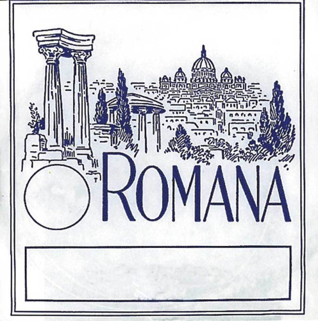 Romana Viulut-strings - G gut