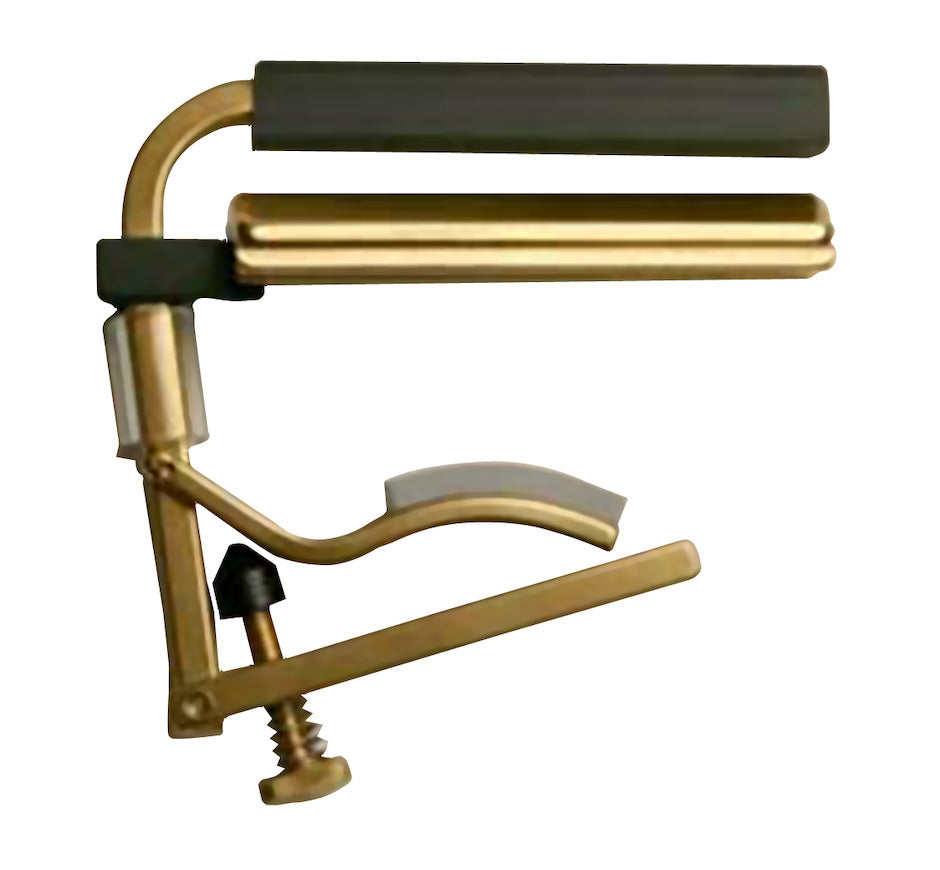 Shubb C6B Dobro Capo (messinki)