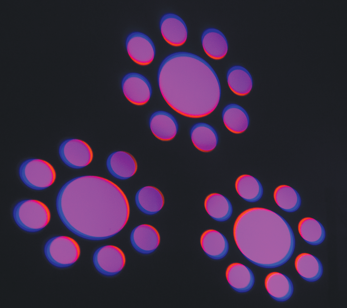 AFX MY60 Liikkuva pää (60W)