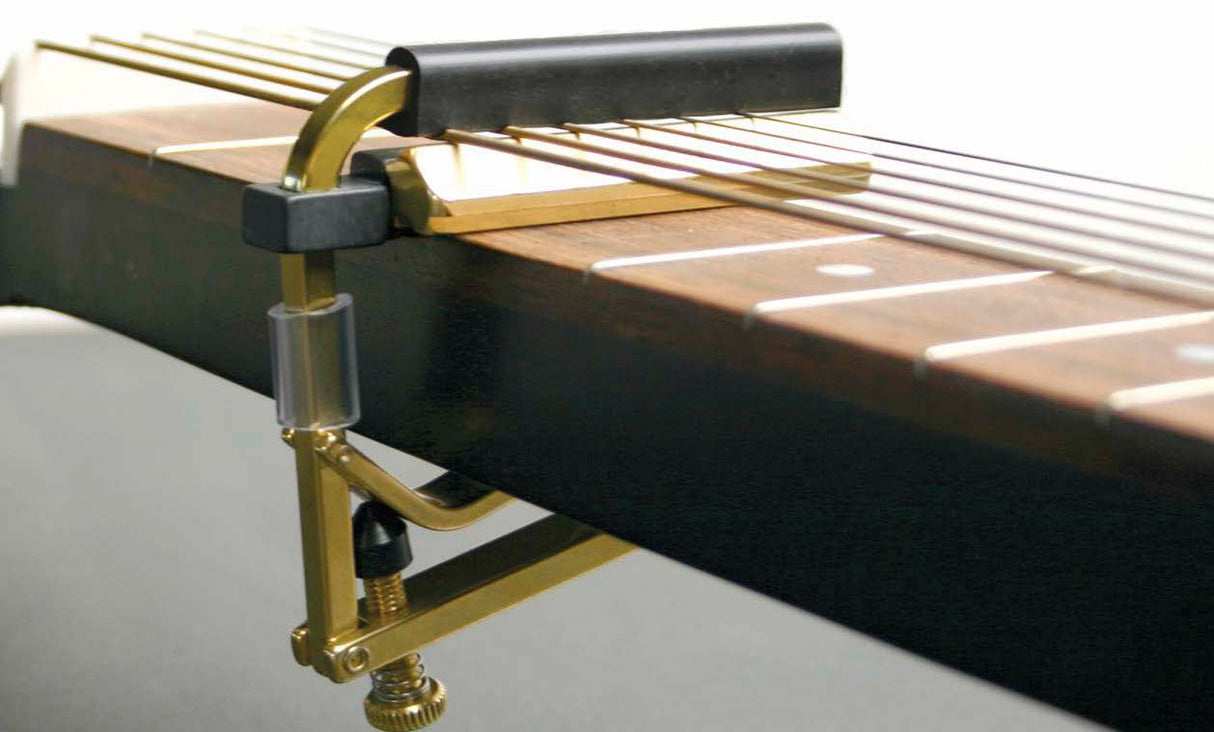 Shubb C6B Dobro Capo (Messinki)