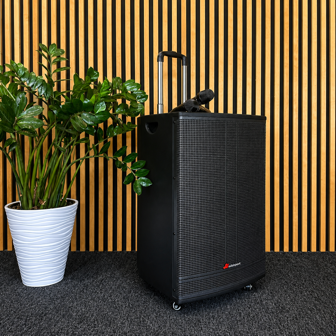 Audioport V15 kannettava aktiivikaiutin 500 W, 2 mikrotonit