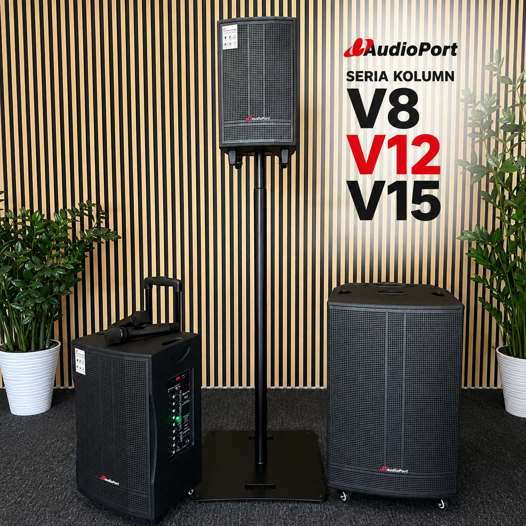 Audioport V15 kannettava aktiivikaiutin 500 W, 2 mikrotonit