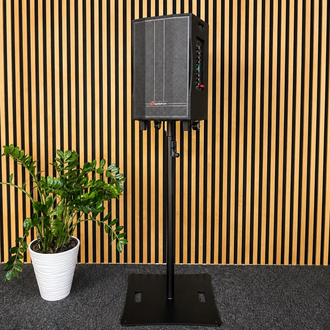 Audioport V12 kannettava aktiivikaiutin 350 W, 2 mikrofonia
