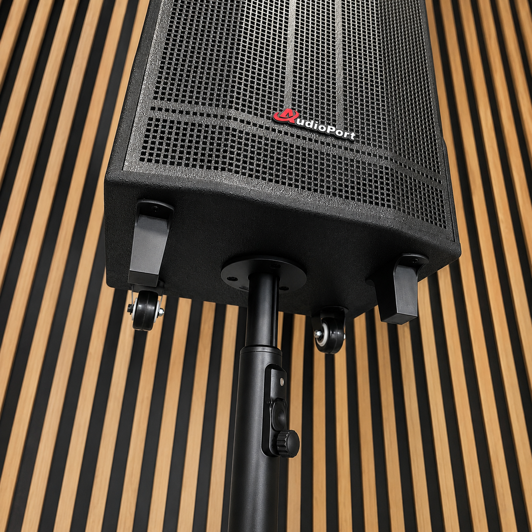 Audioport V12 kannettava aktiivikaiutin 350 W, 2 mikrofonia