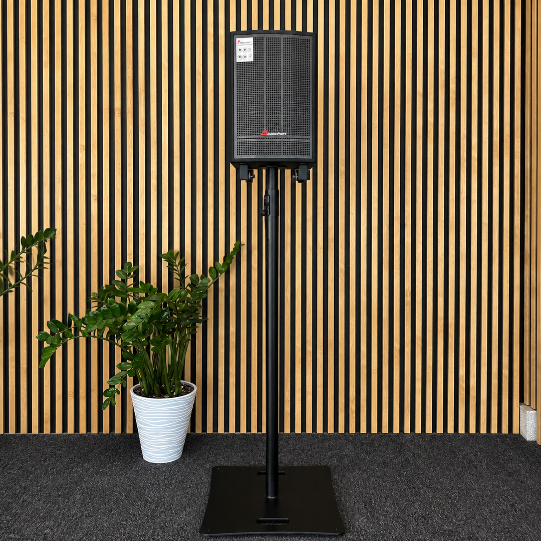 Audioport V8 kannettava aktiivikaiutin 250 W, 2 mikrofonia