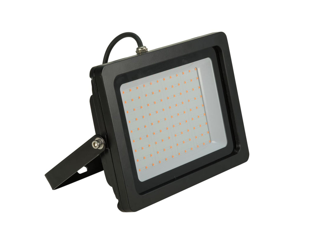 EUROLITE LED IP FL-100 SMD punainen