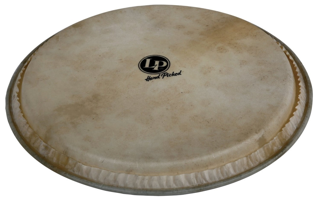 Latin Pundistussoittimet Djembe head Hand Picked - 12,5" goatskin (LP961)
