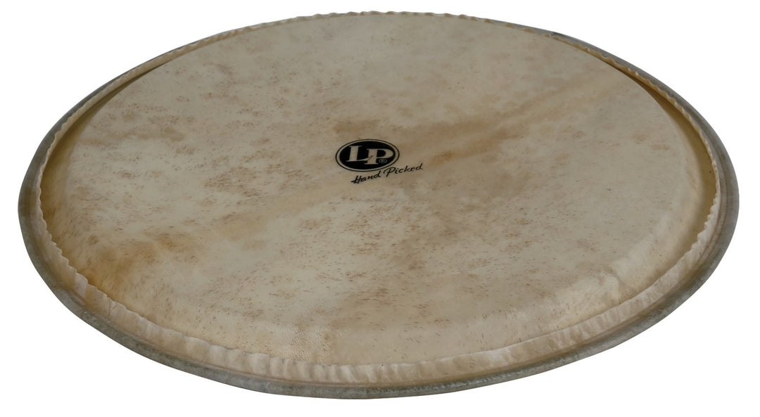 Latin Pundistussoittimet Djembe-kalvo Käsin valittu - 14" vuohennahka (LP960)
