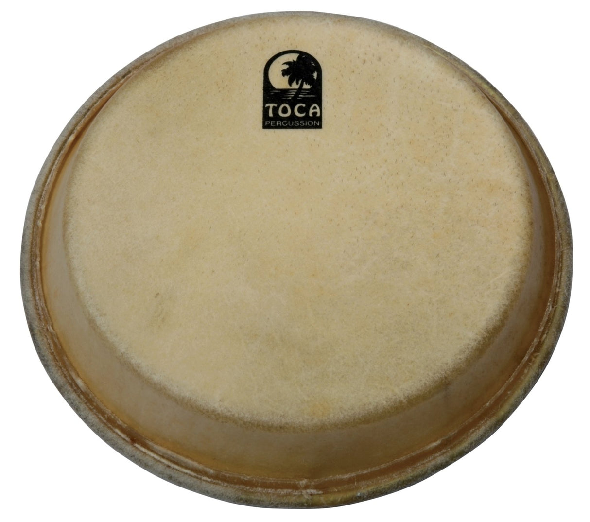 Toca Percussion head Traditional Series Conga & Bongo - 11 3/4" Conga (TP-39011-3/4)