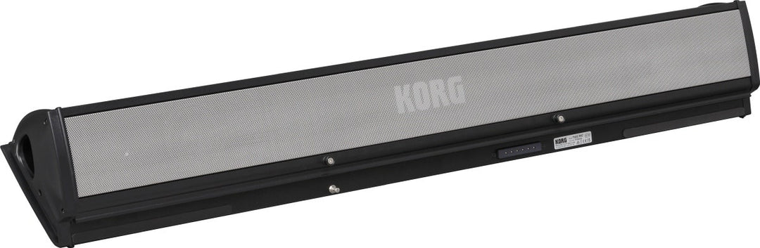 KORG PaAS MK2 - vahvistinjärjestelmä