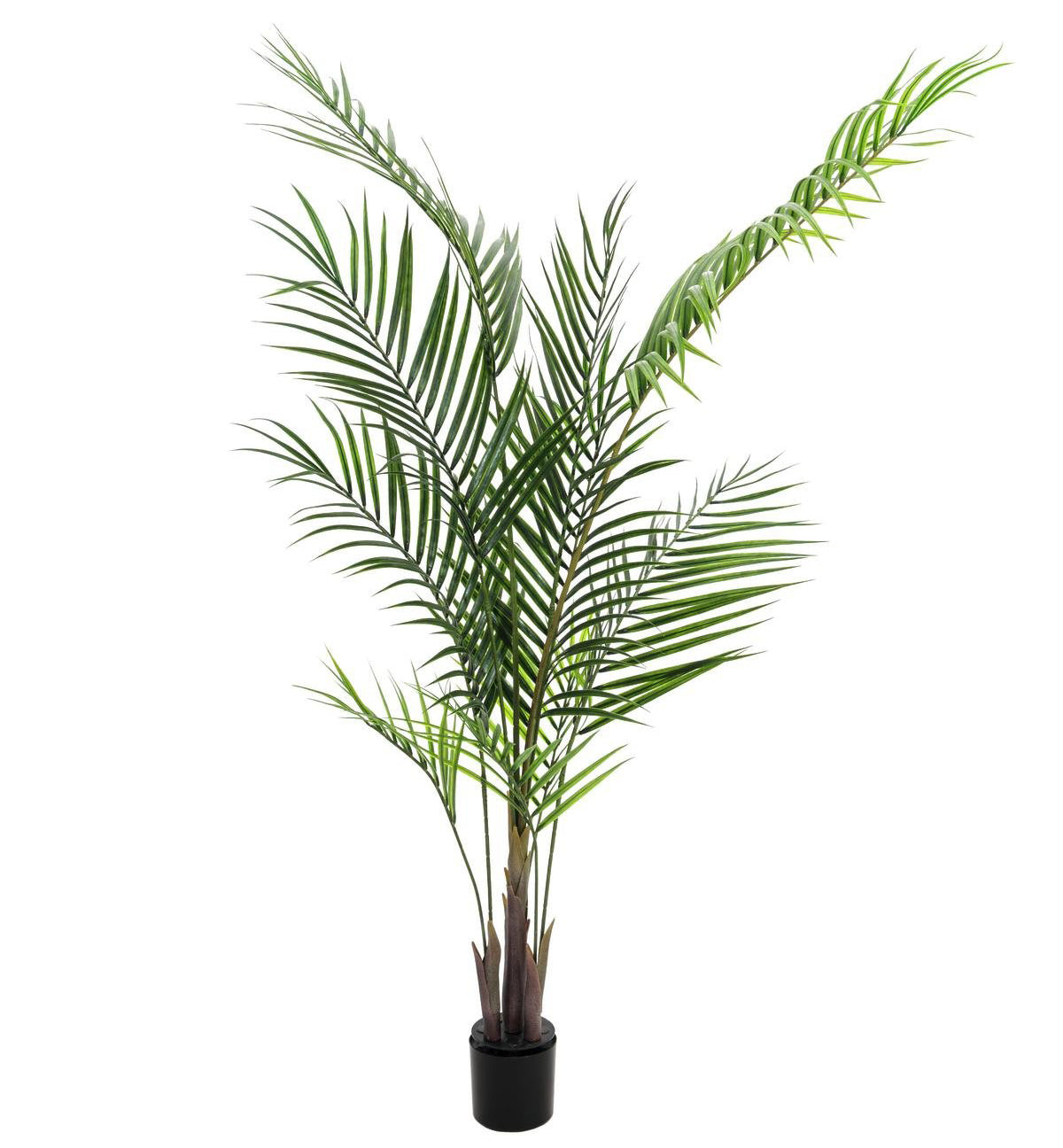 Keinotekoinen Areca palmu suurilla lehdillä (165cm)