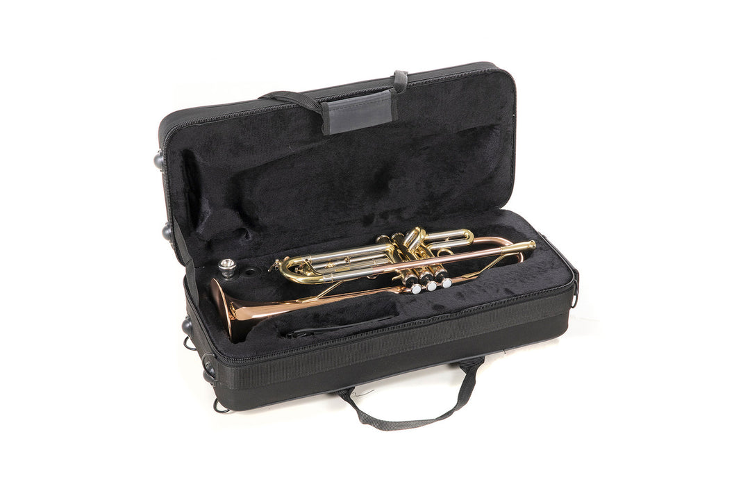 Roy Benson Bb-trumpetti Roy Benson TR-202G - TR-202G