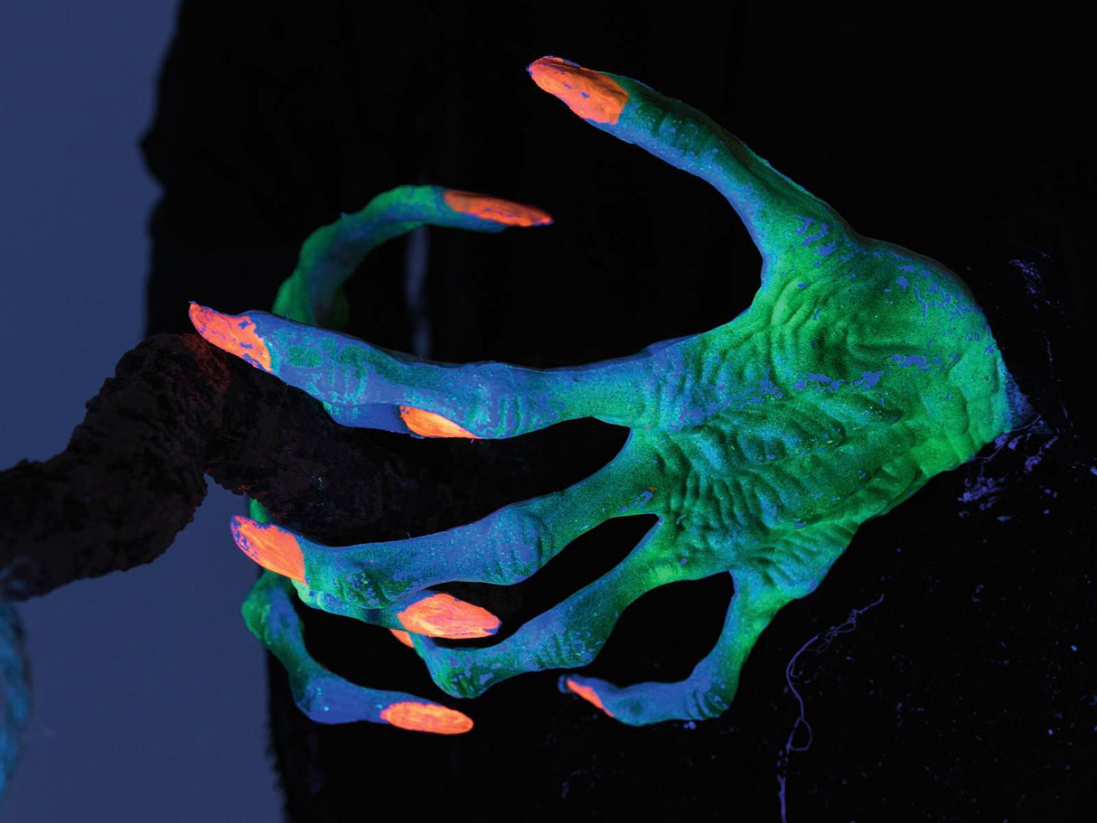 Halloween lentävä noita