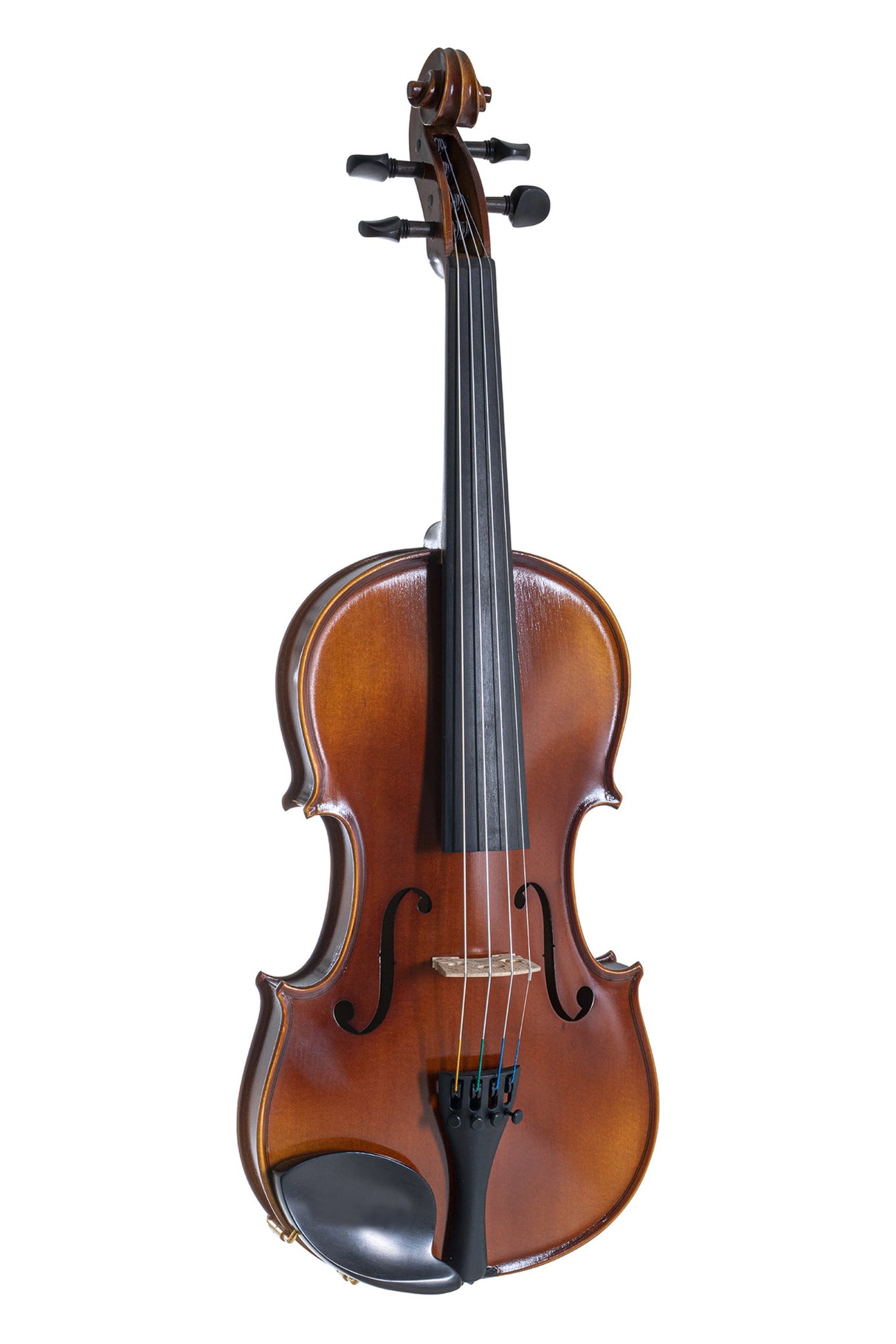 GEWA Violin Allegro - 4/4 (Ready to play incl. shaped case, carbon bow, Larsen Aurora strings, transport-secured)