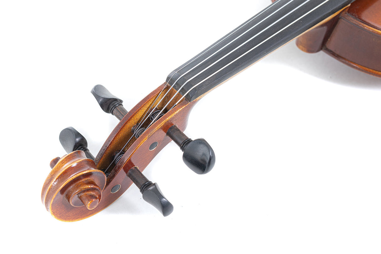 GEWA Violin Allegro - 1/2 (Ready to play incl. shaped case, without bow, with Larsen Aurora strings)