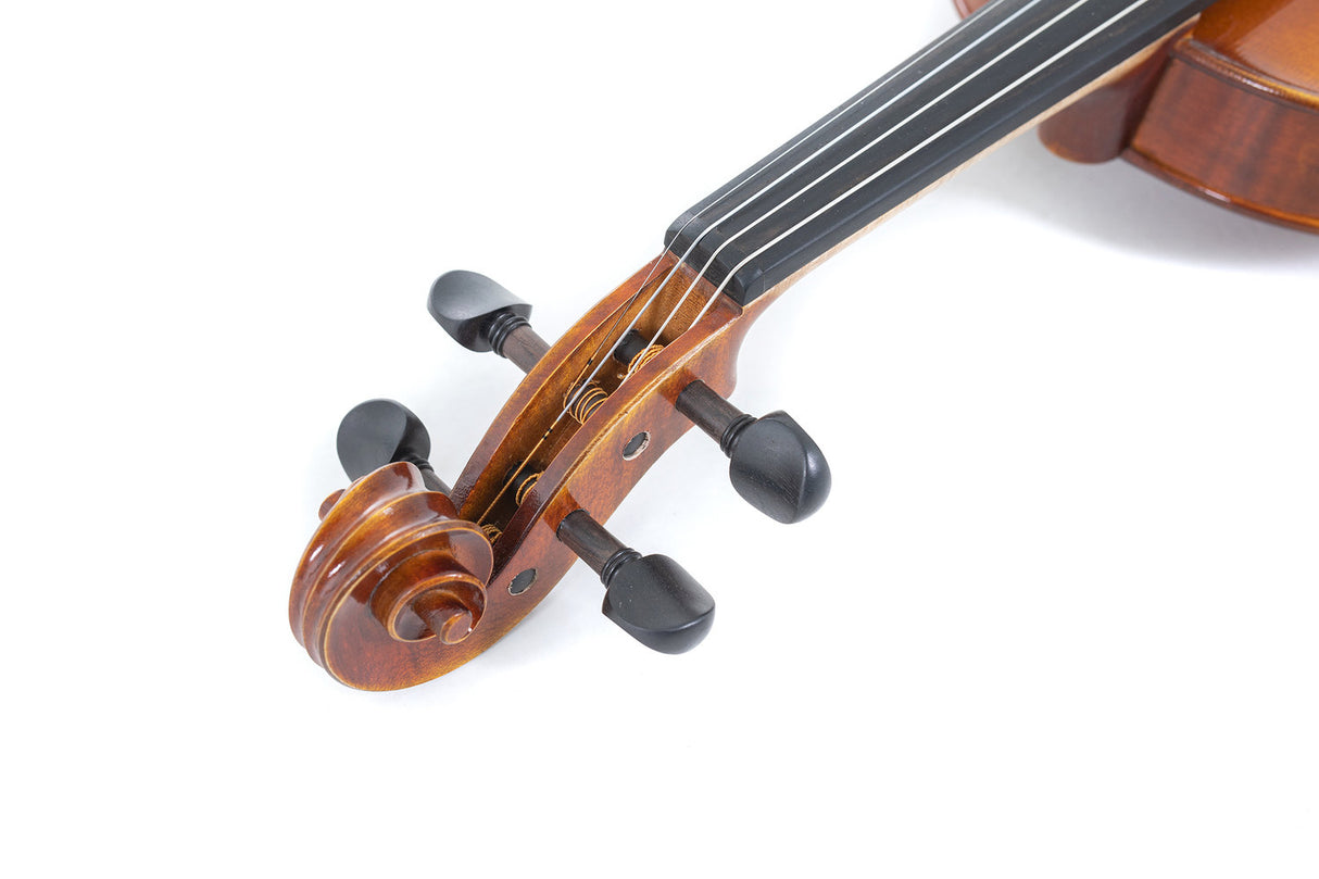 GEWA Violin Maestro 1 - 4/4 (Ready to play incl. GEWA Bio violin shaped case, GEWA Baron bow and Il Cannone strings)