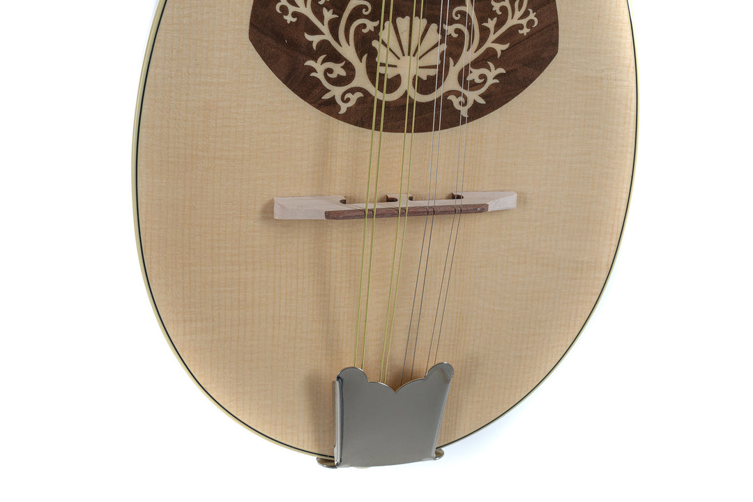GEWA Litteämpä mandoliini Pro Arte Model 1 - High gloss