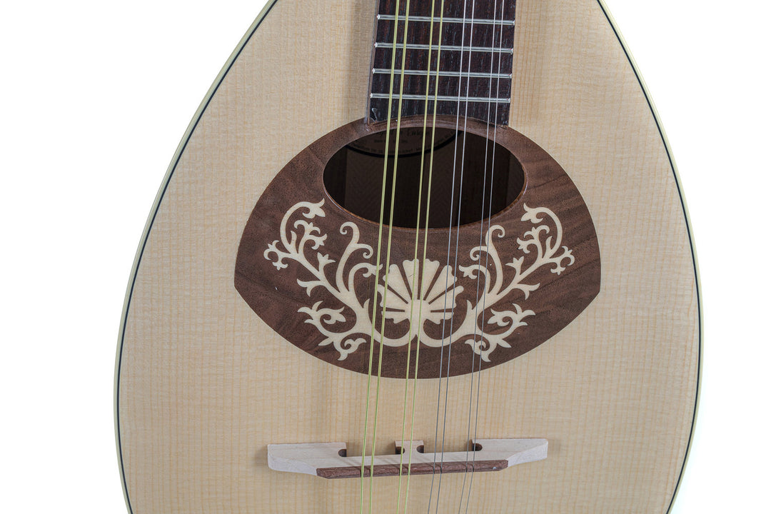 GEWA Litteämpä mandoliini Pro Arte Model 1 - High gloss