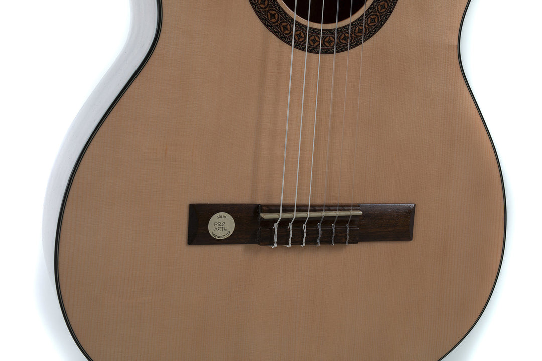 GEWA Klassinen kitara Pro Arte GC 210 A - 4/4 koko