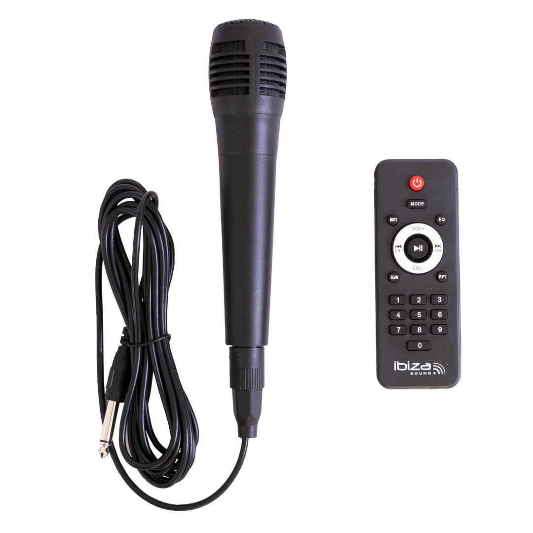 IBIZA Festikaiutin m. Valo ja Bluetooth