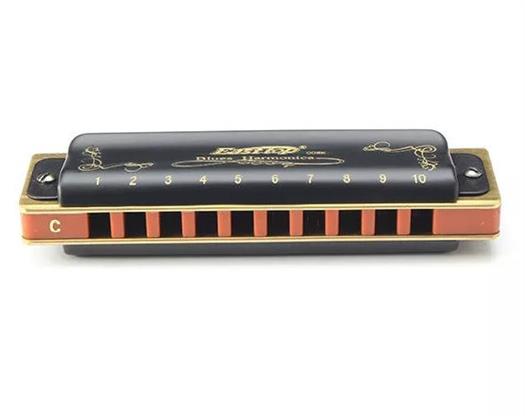 Easttop T008K Blues Harp Harmonikat (F)