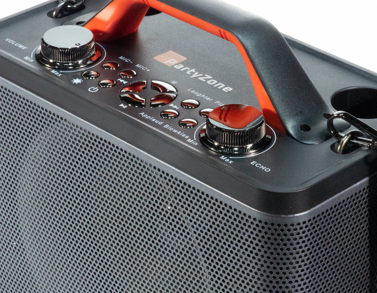 Karaoke anlæg med 2 mikrofoner (Sort)