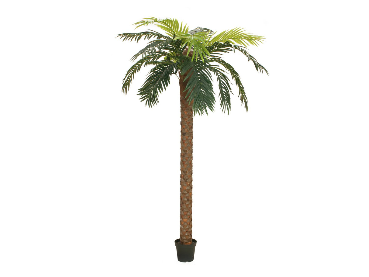 Keinotekoinen Phoenix Palm Deluxe (250cm)
