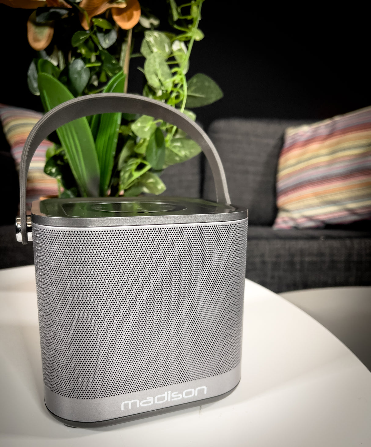 Madison Langaton WiFi-kaiutin