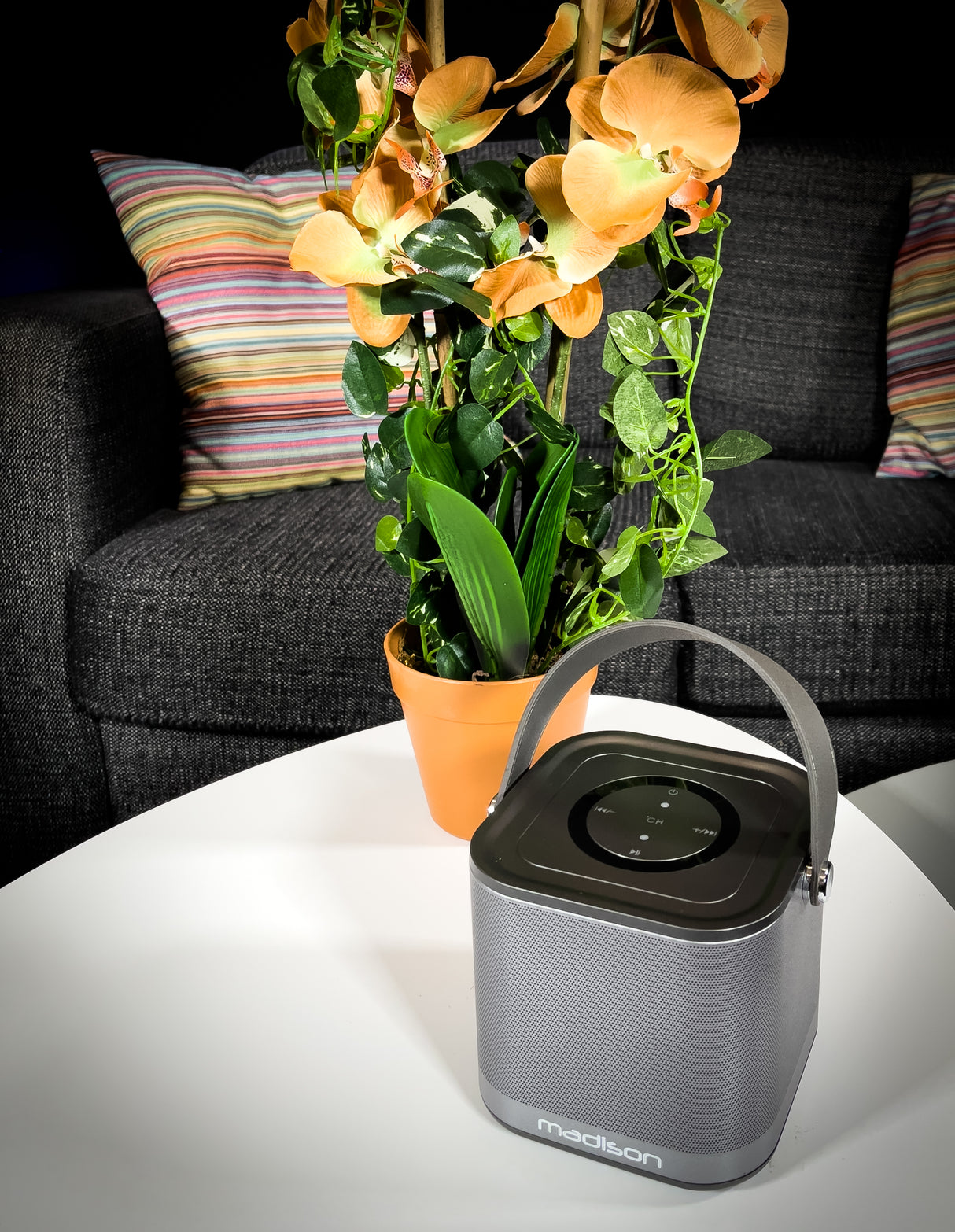 Madison Langaton WiFi-kaiutin