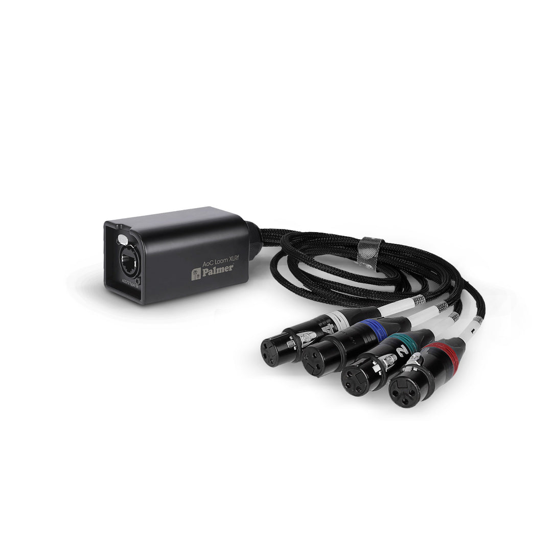 Palmer AoC Loom XLRf - Audio over Cat-kaapeli fra etherCON til 4 x XLR hunstik