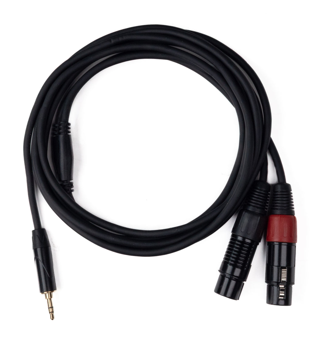 MINIJACK 3,5mm TRS uros - 2x XLR naaras (3m)