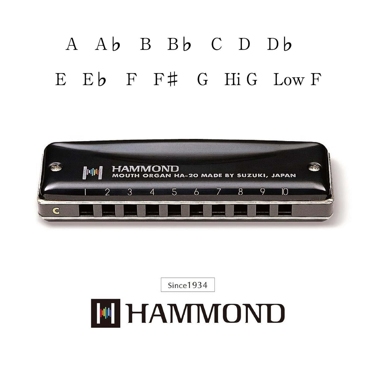 Hammond HA-20 Harmonica (C)
