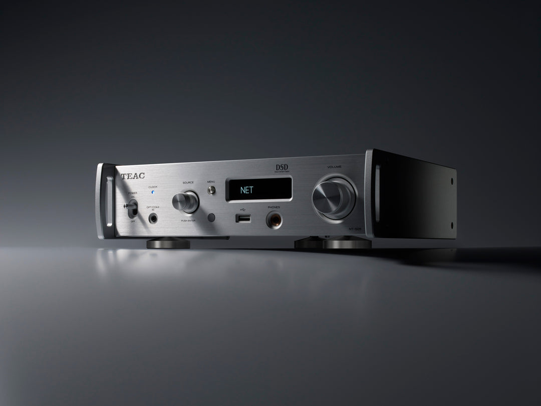 TEAC NT-505-X USB Verkkodac Esivahvistin (Hopea)