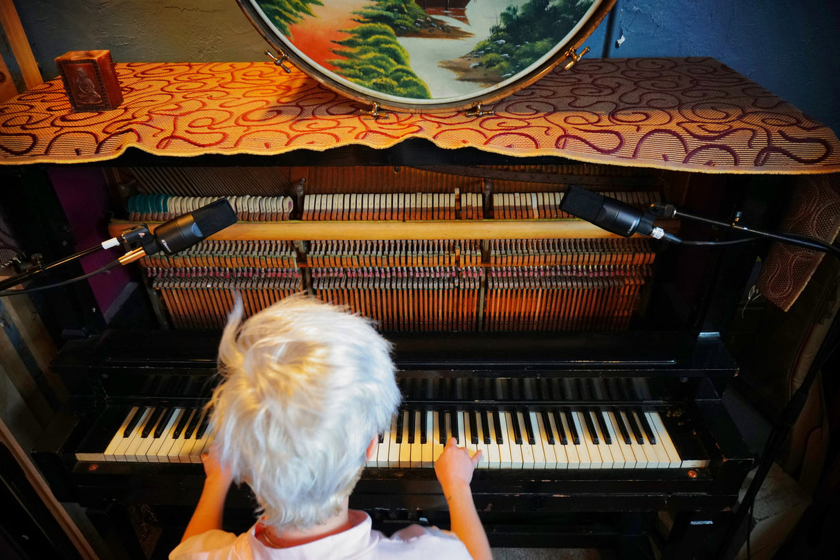 sE Electronics X1S Condesator-tutkimusmikrofoni