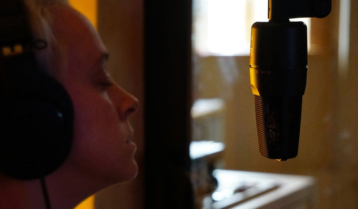 sE Electronics X1S Condesator-tutkimusmikrofoni