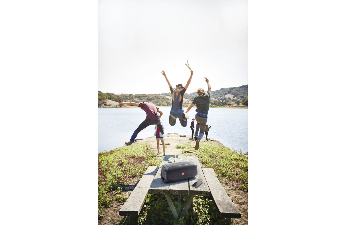 JBL BASS PRO GO All-in-One subwoofer & kannettava kaiutin