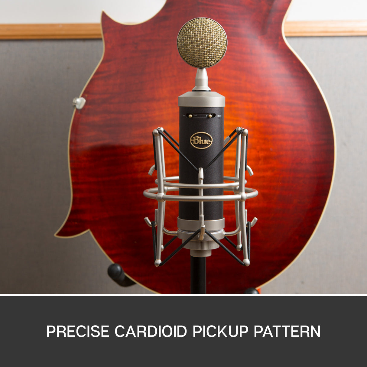 Blue Vauvan pullo SL Kondensatormikrofoni