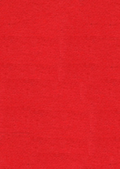 Punainen Matto (1x 50 metriä)