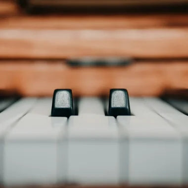 Learn to Play the Piano: A Beginner's Guide