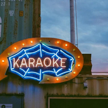 This is how I would host a karaoke night