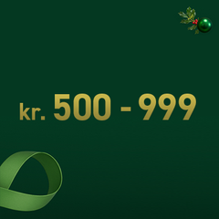 Joululahjainspiraatiota 500-999 kr.