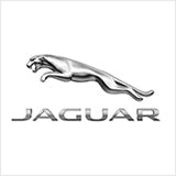 Jaguaari