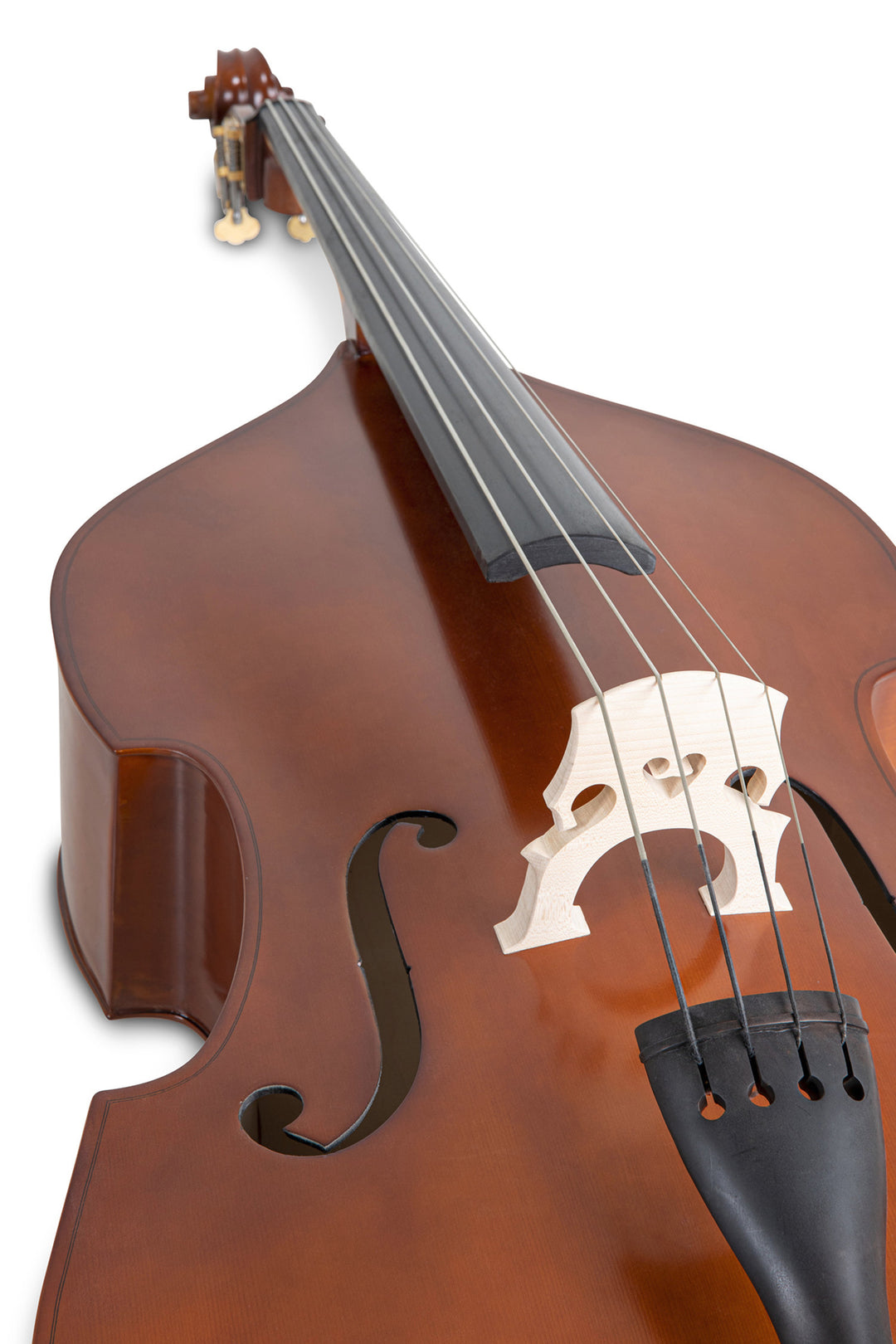 GEWA Double bass Basic Line - Laminated version - 1/8 (Set up made in GEWA Master workshop)