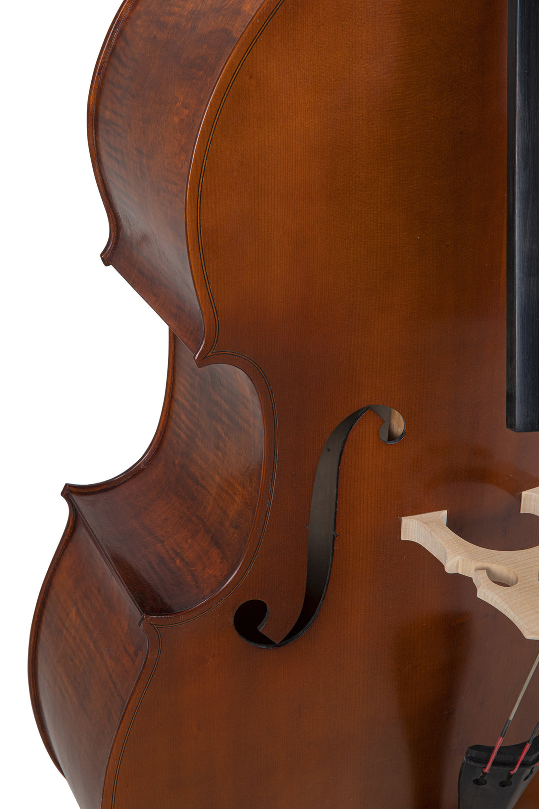 GEWA Kontrabasso Premium Line Laminated Model - 3/4 (Set up in the GEWA master workshops)