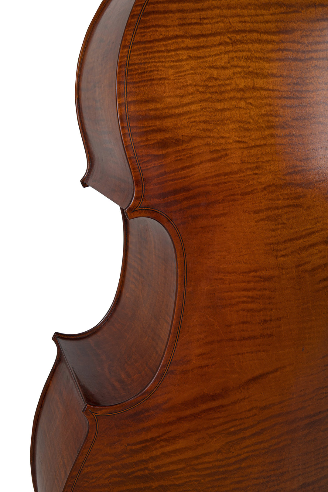 GEWA Kontrabasso Premium Line Laminated Model - 3/4 (Set up in the GEWA master workshops)