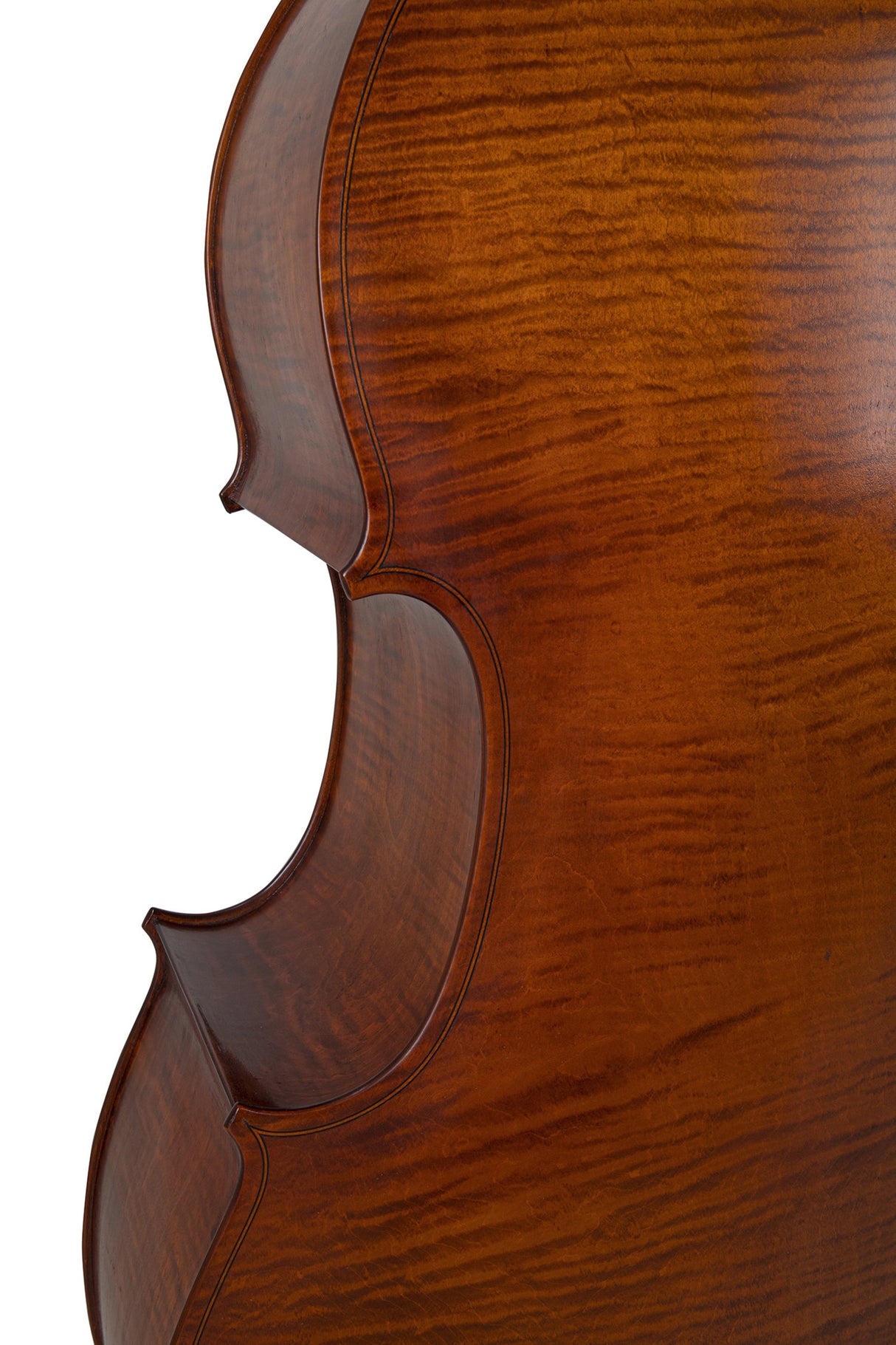 GEWA Double bass Premium Line Laminated Model - 3/4 (Set up in the GEWA master workshops)